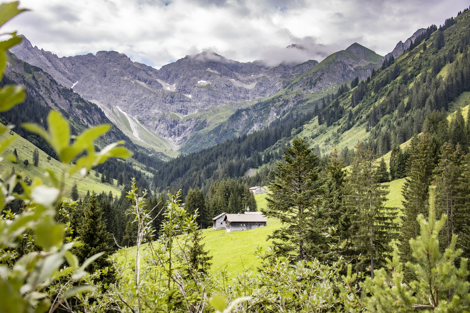 Bodenvorsäß in Au mit Blick auf Zitterklapfen (c) Emanuel Sutterlüty - Au-Schoppernau Tourismus (1)